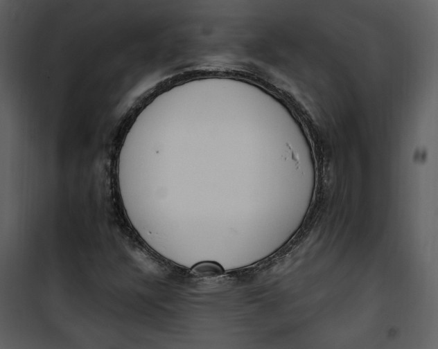 X0000101231304200807181554