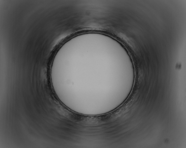 X0000101231307200807181554