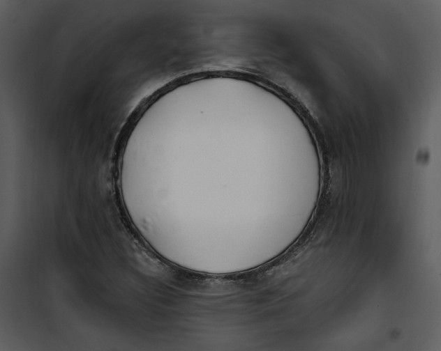 X0000101231308200807181554