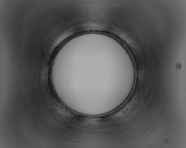 X0000101231309200807181554