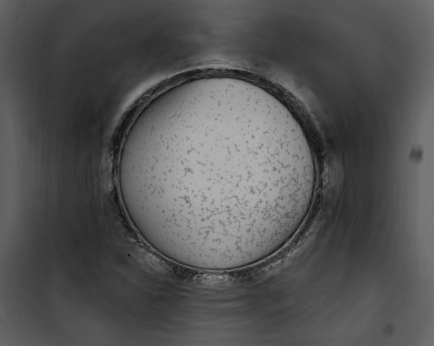 X0000101231310200807181554