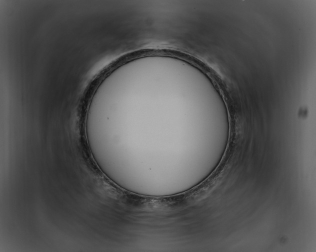 X0000101231311200807181554