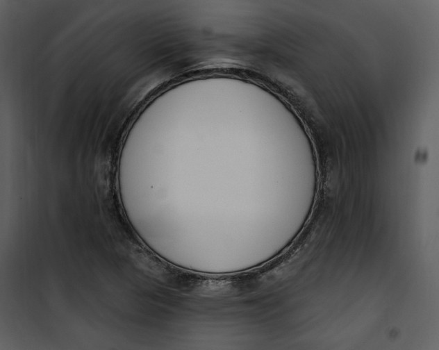 X0000101231313200807181554