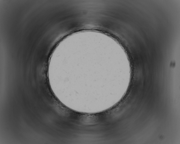 X0000101231314200807181554