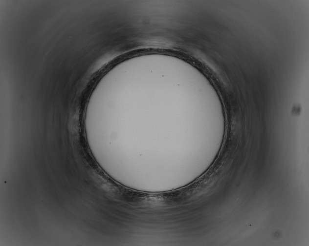 X0000101231315200807181554