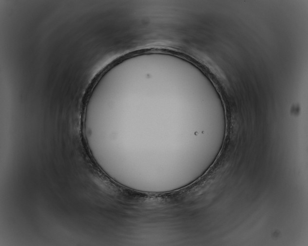 X0000101231316200807181554