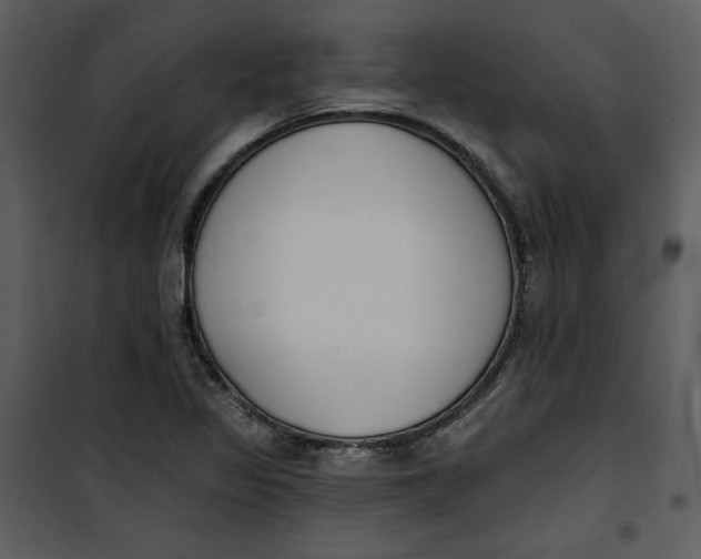 X0000101231317200807181554