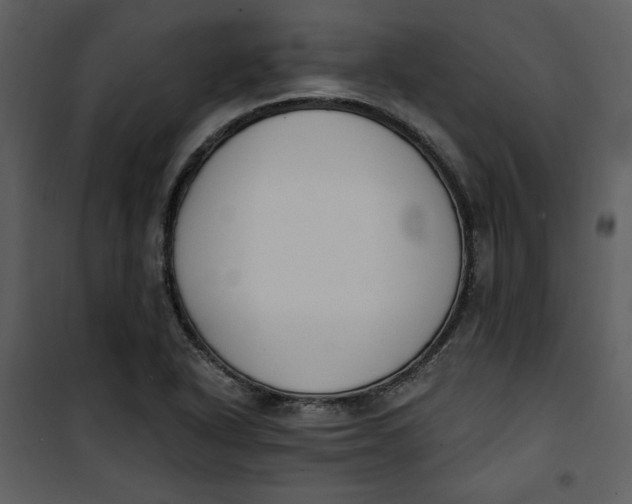 X0000101231318200807181554