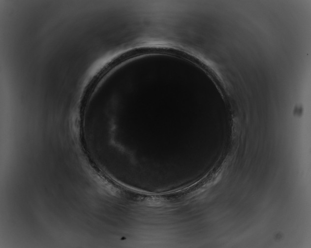 X0000101231319200807181554