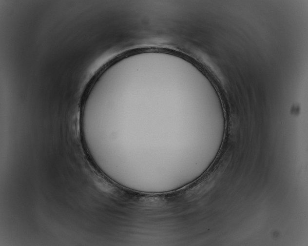 X0000101231320200807181554