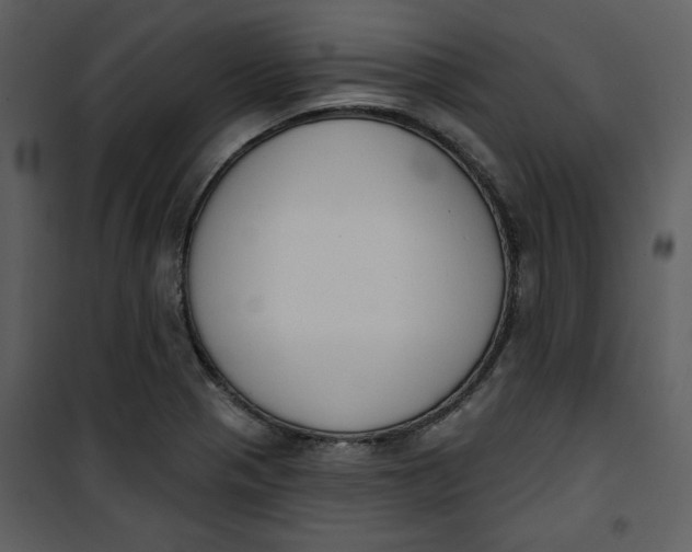 X0000101231321200807181554