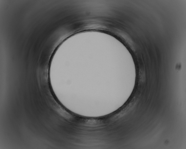 X0000101231322200807181554