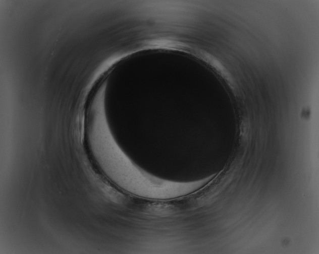 X0000101231323200807181554