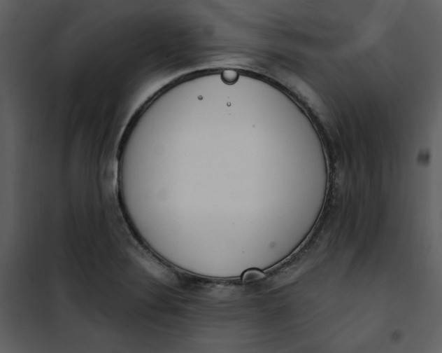 X0000101231324200807181554