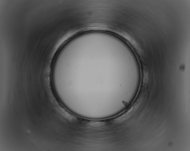 X0000101231325200807181554