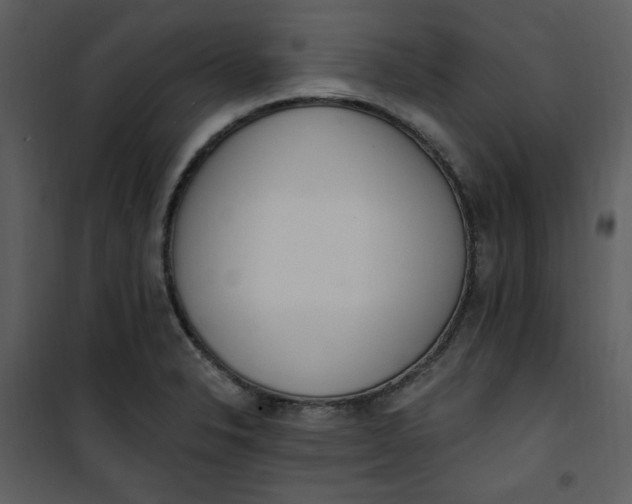 X0000101231326200807181554