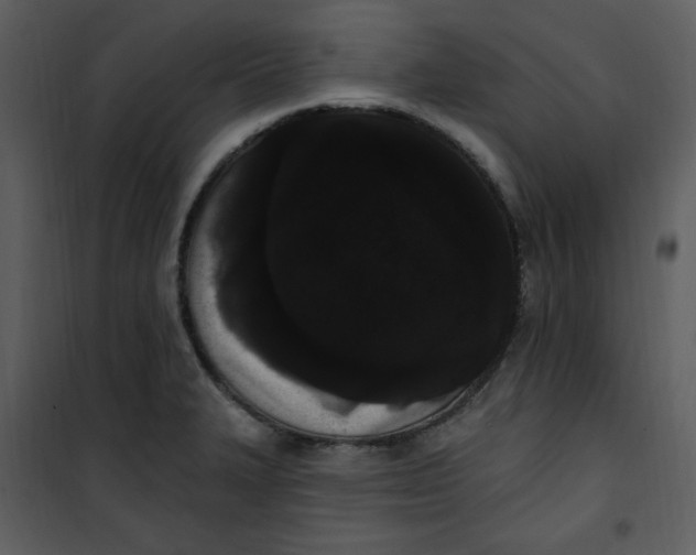 X0000101231327200807181554