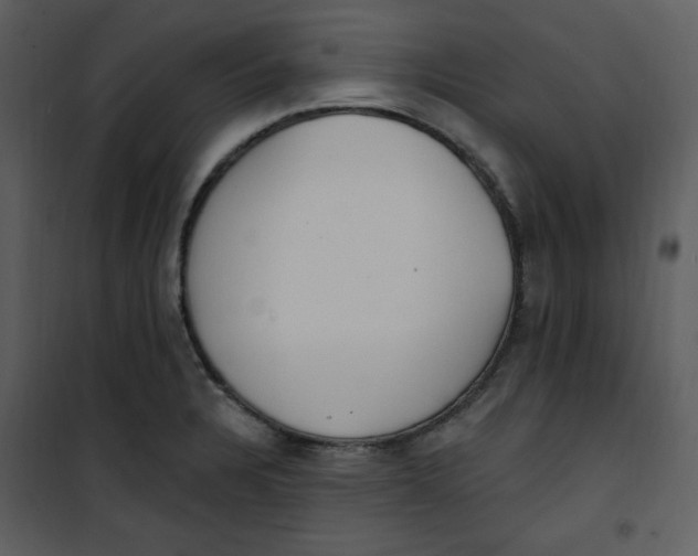 X0000101231328200807181554