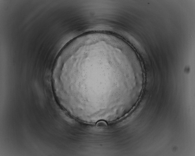 X0000101231329200807181554