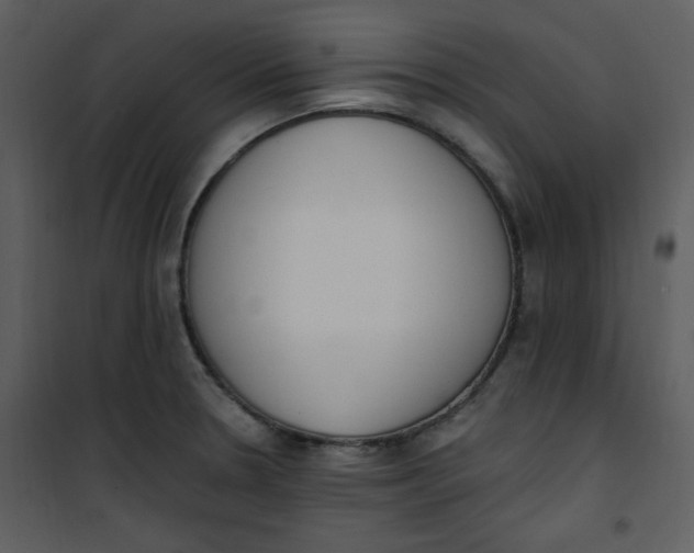 X0000101231330200807181554