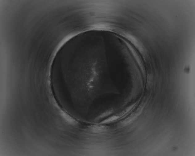 X0000101231331200807181554