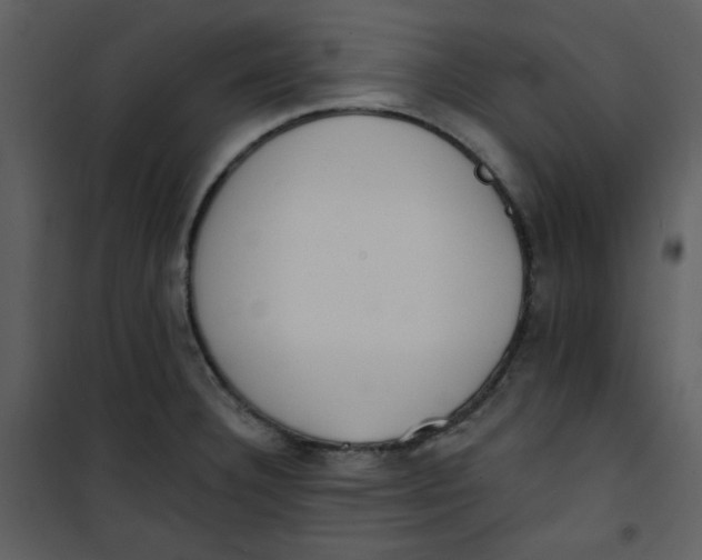 X0000101231332200807181554