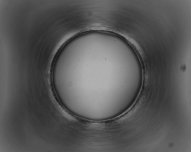 X0000101231333200807181554