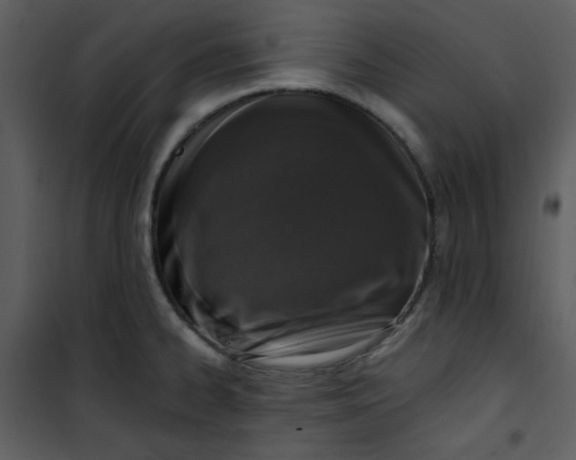 X0000101231334200807181554