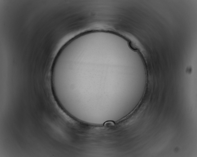 X0000101231335200807181554