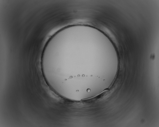 X0000101231336200807181554