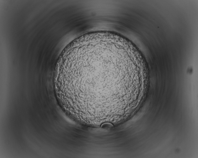 X0000101231337200807181554