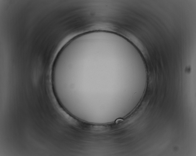 X0000101231339200807181554