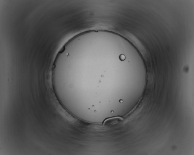 X0000101231340200807181554