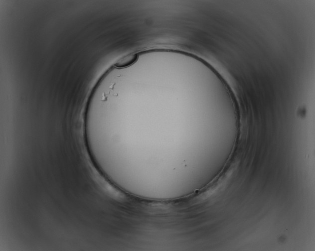 X0000101231341200807181554