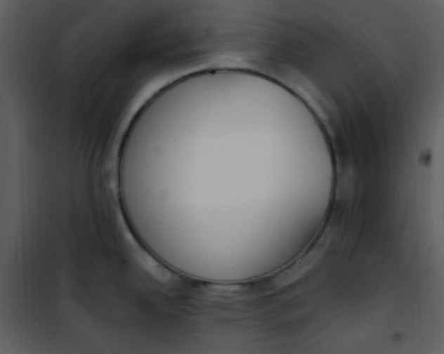 X0000101231342200807181554