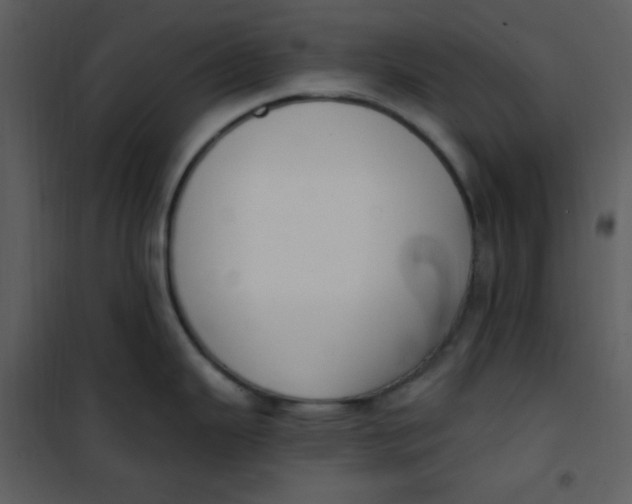 X0000101231343200807181554