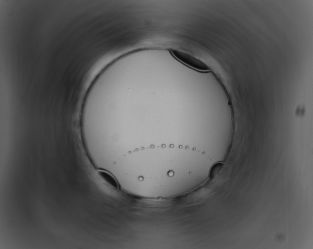 X0000101231344200807181554