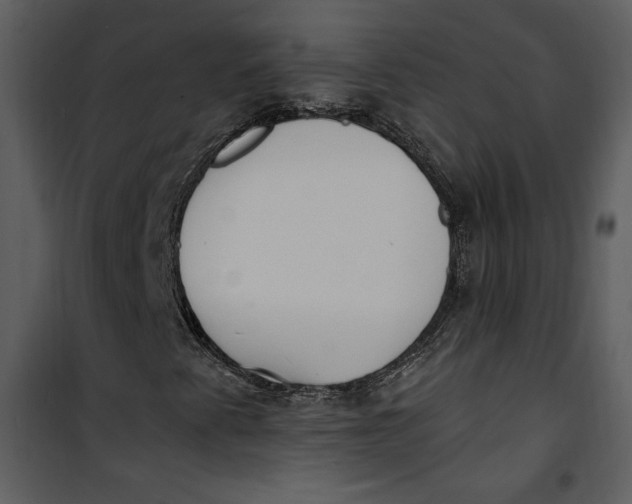 X0000101231345200807181554