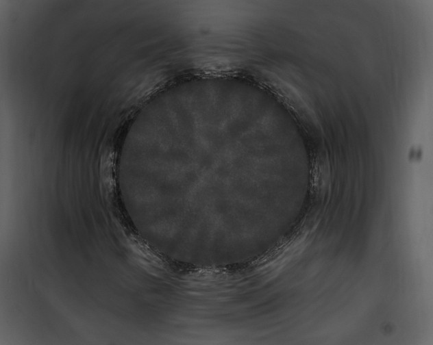 X0000101231346200807181554