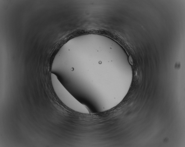 X0000101231348200807181553