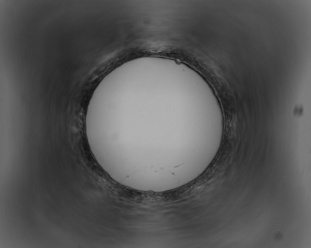 X0000101231349200807181553