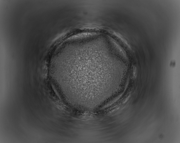 X0000101231350200807181553