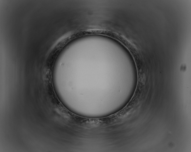 X0000101231351200807181553