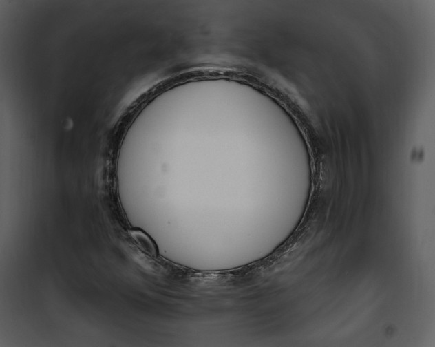 X0000101231352200807181553