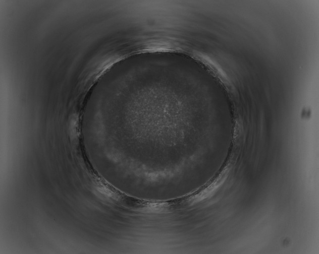 X0000101231353200807181553