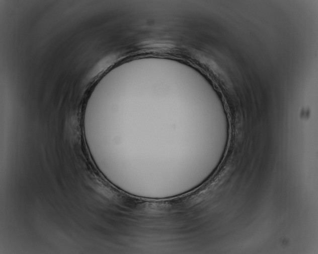 X0000101231354200807181553