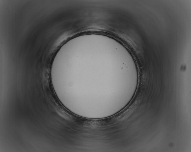 X0000101231355200807181553