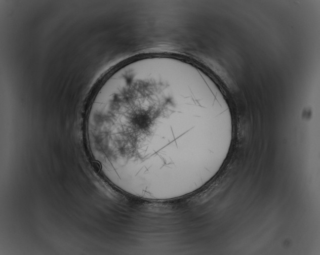 X0000101231356200807181553