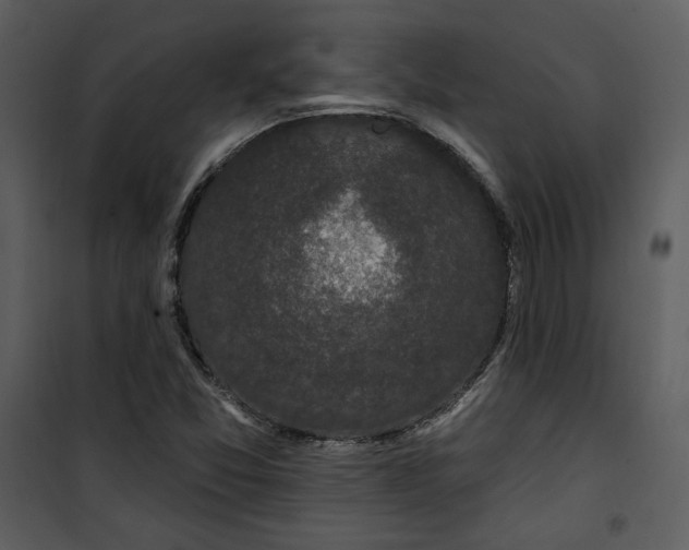 X0000101231357200807181553