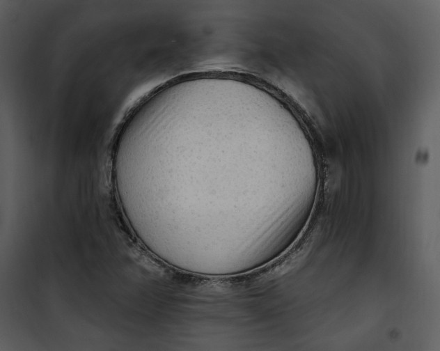 X0000101231358200807181553